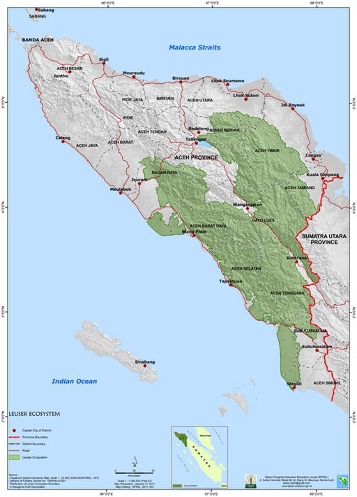 Ecossistema Leuser. (Fonte: Wikimedia Commons / Reprodução)