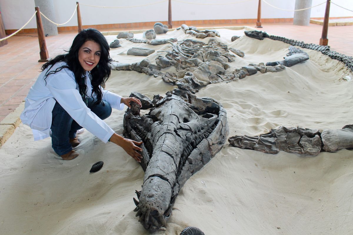 (Fonte: Centro de Pesquisa Paleontóloga de Villa de Leyva/Divulgação)