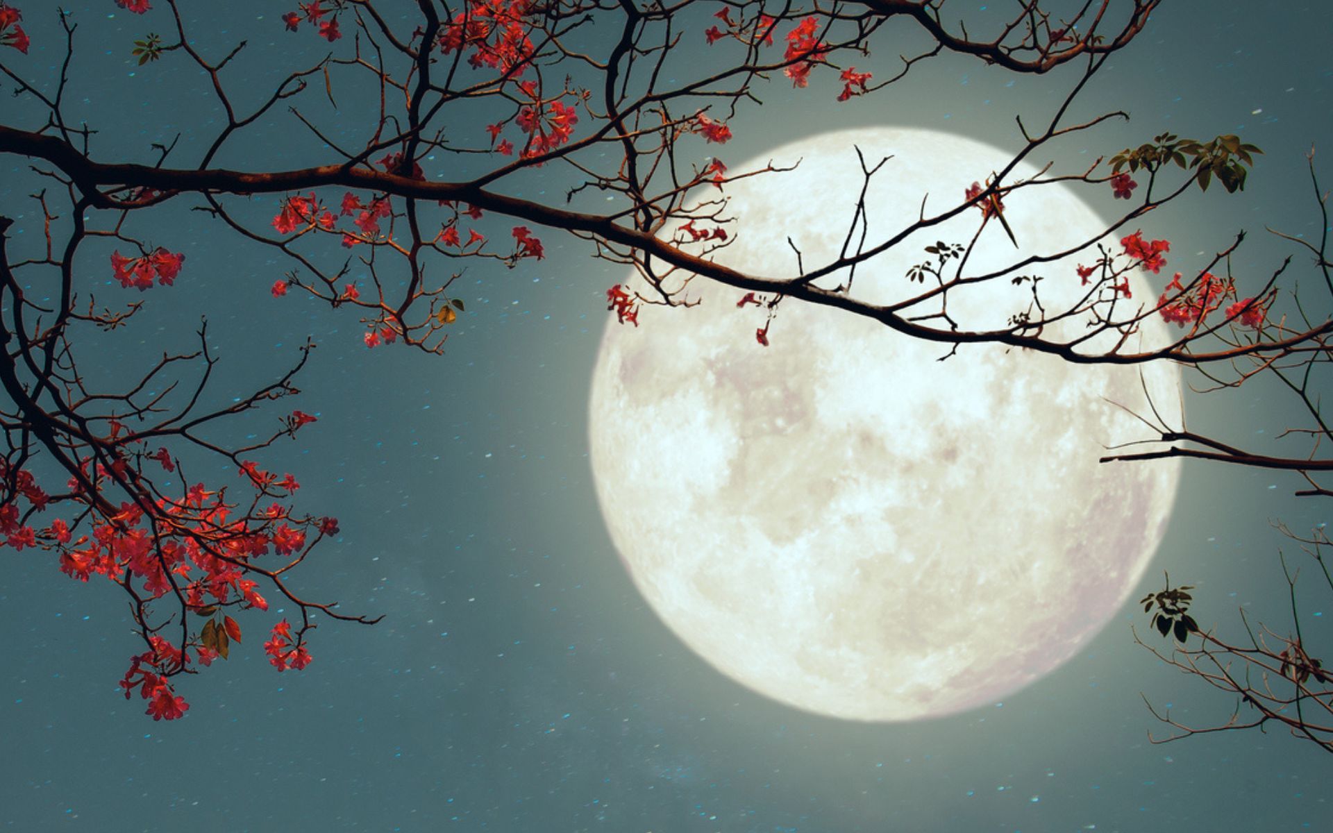 #AstroMiniBR: uma mini Lua Cheia!