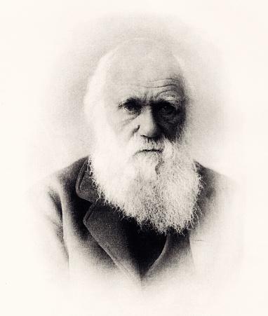 Charles Darwin foi um dos críticos a William Buckland. (Fonte: Getty Images/Reprodução)