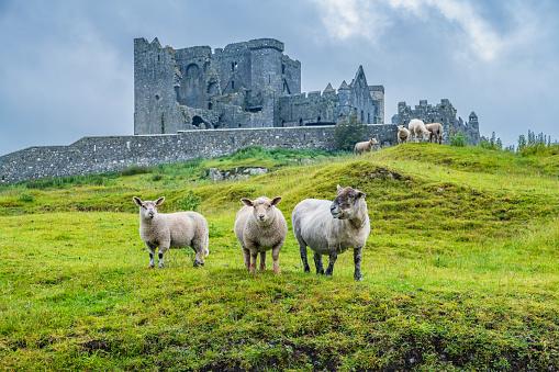 Além de monumentos históricos, a Irlanda tem muito conteúdo disponível. (Fonte: GettyImages/ Reprodução)