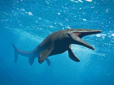 A cauda do mosassauro, na verdade, assemelha-se  do tubaro, como representado na imagem. (Fonte: GettyImages/ Reproduo)