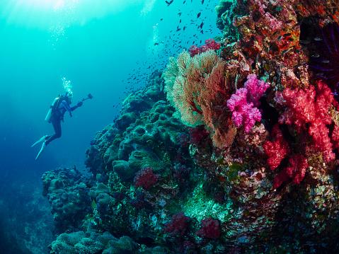 Mar de Andaman. (Fonte: Getty Images/Reprodução)