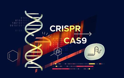CRISPR-Cas9 é uma técnica de edição do DNA. (Fonte: Getty Images/Reprodução)