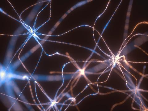 As ondulações são essenciais para formar memórias duradouras, fortalecendo as conexões no cérebro. (Fonte: Getty Images/Reprodução)