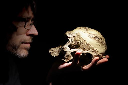 Humano olhando crânio de um antigo humanoide. (Fonte: GettyImages)