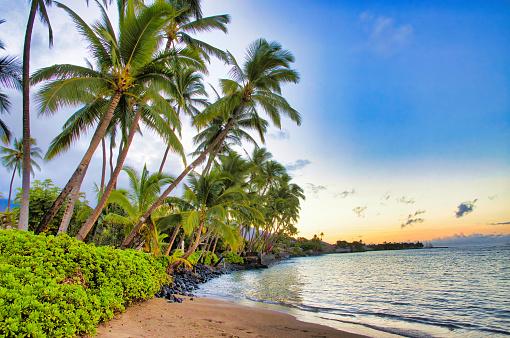 O fenômeno pode ser observado no Havaí. (Fonte: Getty Images/Reprodução)