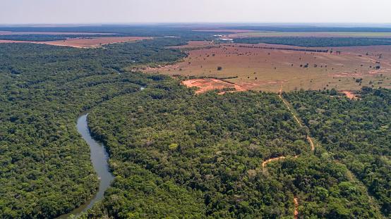 Além da mineração, a expansão agrícola ameaça a sobrevivência da Floresta Amazônica. (Fonte: Getty Images/Reprodução)