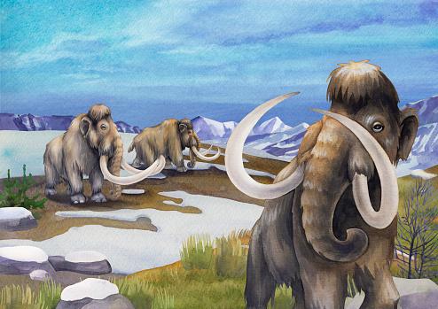 Mesmo "parentes", os mamutes não eram tão parecidos com os elefantes atuais. (Fonte: Getty Images)