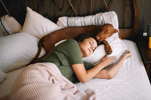 Dormir com o pet afeta a qualidade do sono. (Fonte: Getty Images/Reprodução)
