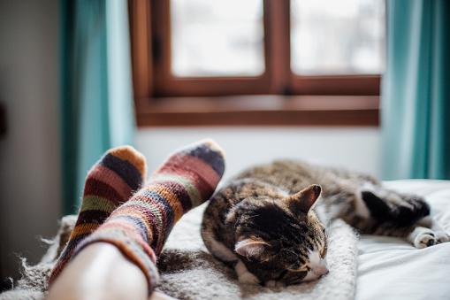 Muitos consideram compartilhar a cama com seus pets uma fonte de conforto e companheirismo. (Fonte: Getty Images/Reprodução)