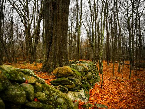 As paredes de pedra podem ser vistas em todos os cantos da Nova Inglaterra. (Fonte: GettyImages)