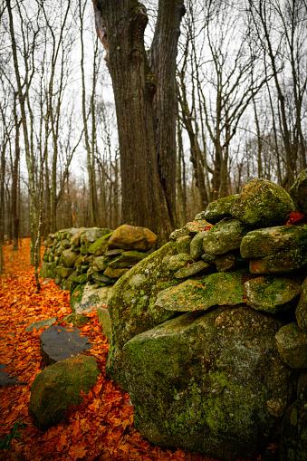 Os muros de pedra são essenciais para muitos seres vivos na região. (Fonte: GettyImages)