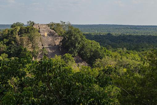 Templo de Calakmul, cidade sede da dinastia Kaamul. (Fonte: Getty Images/Reprodução)