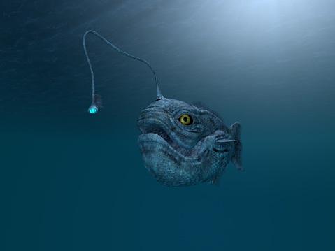 Adaptações ocorridas entre peixes ancestrais deram um rumo diferente a espécies. (Fonte: Getty Images/Reprodução)