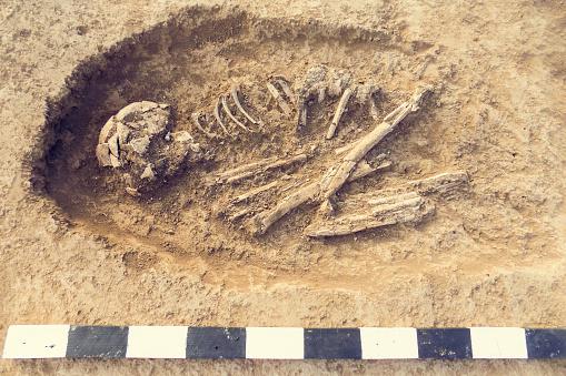 Homo erectus está entre uma das primeiras espécies do gênero Homo. (Fonte: GettyImages)
