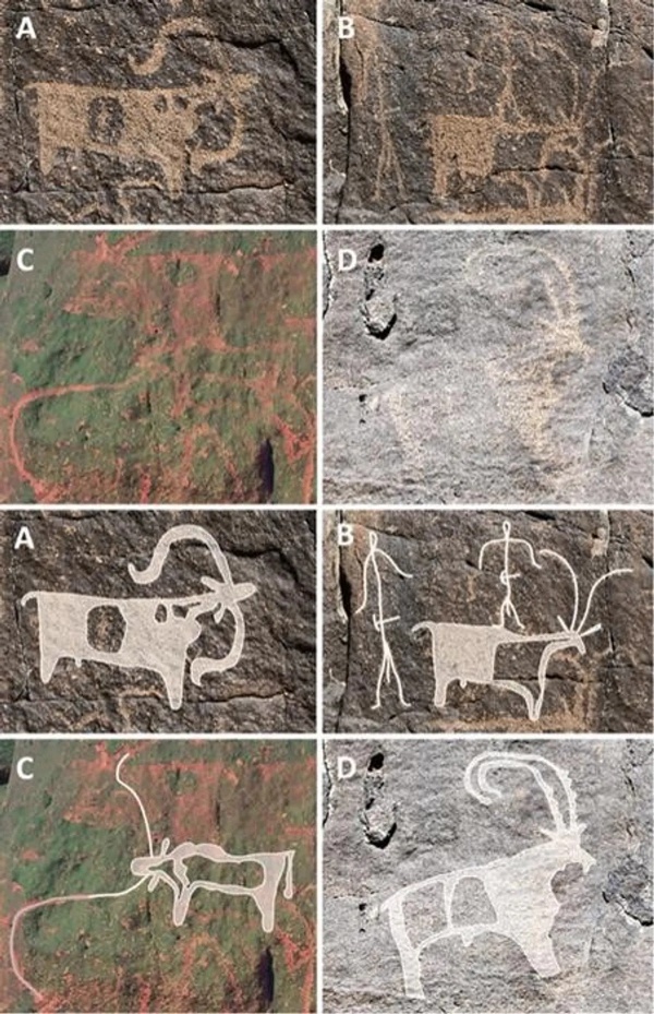 Arte rupestre encontrada em Umm Jirsan. (Fonte: PLOS ONE/Reprodução)