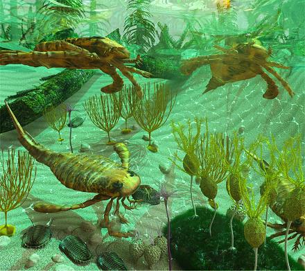 Durante o período Cambriano surgiu uma variedade impressionante de formas de vida. (Fonte: Getty Images/Reprodução)