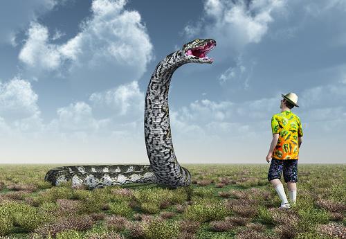 Não deve ser muito animador encontrar uma cobra gigante por aí. (Fonte: GettyImages/ Reprodução)