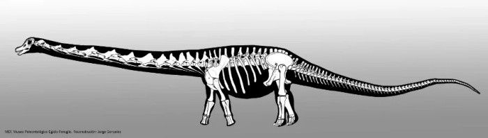O tamanho avantajado reforçava a proteção contra os predadores. (Fonte: Museu de Paleontologia Egidio Feruglio/Divulgação)