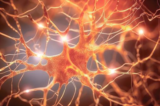 A a neurogênese post-mortem sugere que certas atividades elétricas podem continuar após a morte. (Fonte: Getty Images/Reprodução)