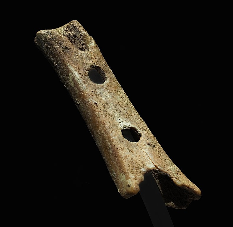 Flauta feita de ossos. (Fonte: Wikimedia Commons/Reprodução)