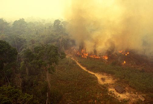 (Fonte: GettyImages/Reprodução)