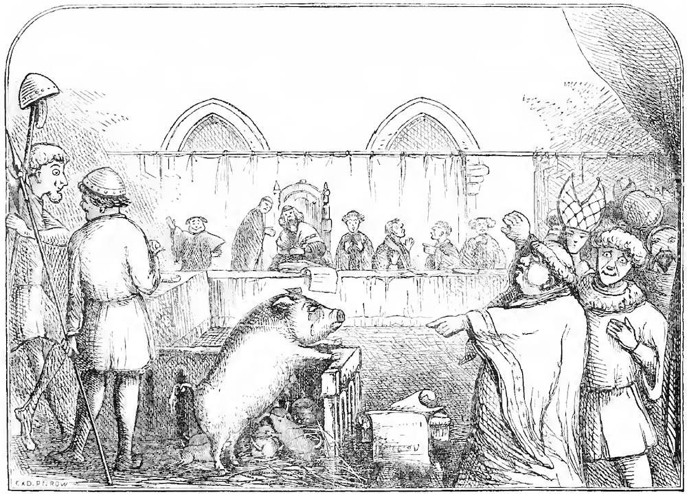 No século XVI, uma porca foi condenada à morte por matar uma criança. (Fonte: Wikipedia / Reprodução)