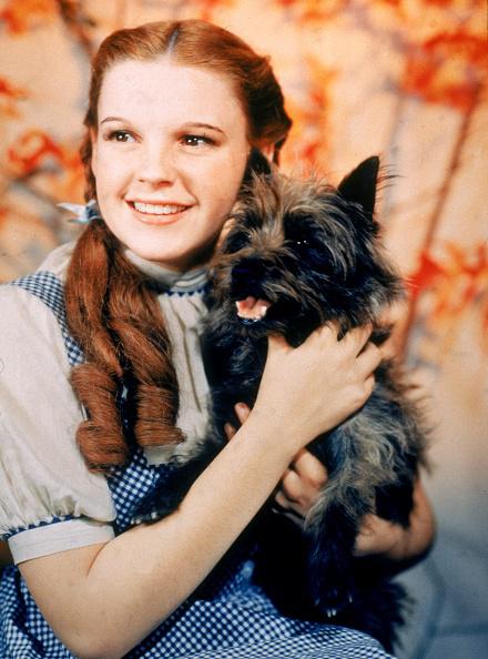 Judy Garland como Dorothy em O Mágico de Oz. (Fonte: Getty Images)