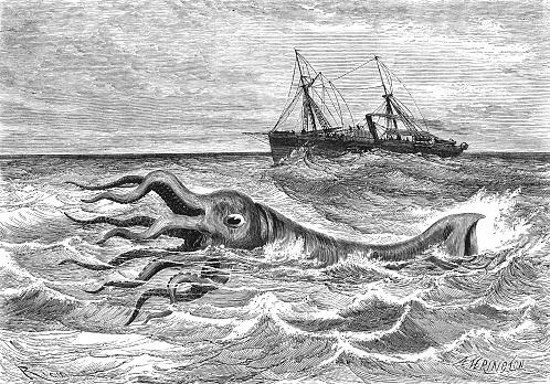 Encontros com lulas e polvos gigantes teriam dado origem ao mito. (Fonte: Getty Images/Reprodução)