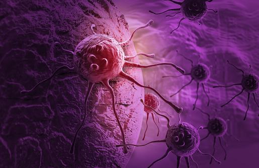 Os cânceres podem ser produzidos por anomalias estruturais e proliferativas das células. 