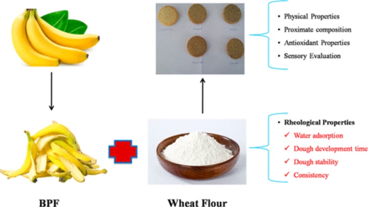 O processo de uso da farinha de casca de banana na produção de biscoitos.