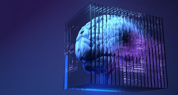 Nosso cérebro é um órgão muito sensível a mudanças, será que realmente ele suportaria ser colonizado? (GettyImages/Reprodução))