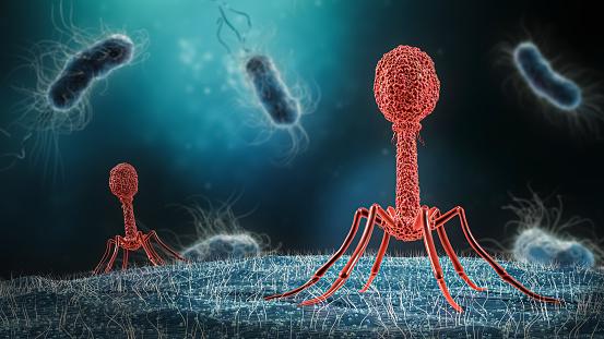 Fagos são vírus capazes de colonizar e destruir bactérias. (Fonte: GettyImages/Reprodução)