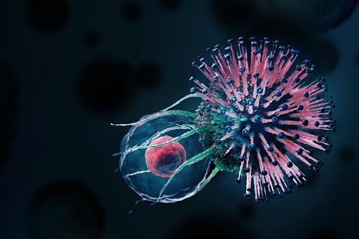 Nos testículos o vírus tem um caminho mais eficaz para infecção. (Fonte: GettyImages/ Reprodução)