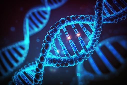 O genoma humano é muito menor. (Fonte: Getty Images/Reprodução