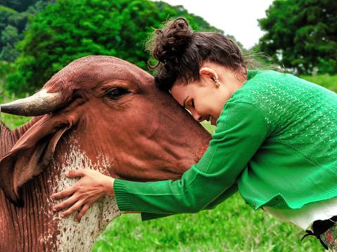 As vacas desenvolvem mais laços mais fortes com mulheres. (Fonte: Getty Images/Reprodução)