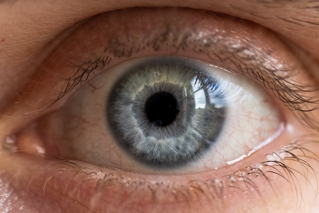 O olho é uma das partes do corpo humano considerada mais complexa por especialistas em anatomia. (Fonte: Unsplash / Reprodução)