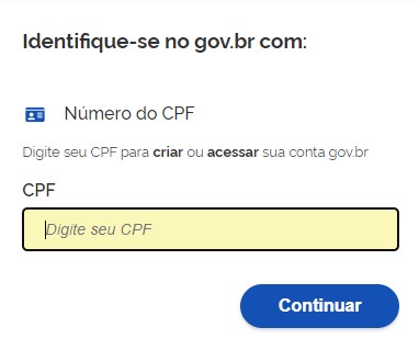 Insira o CPF cadastrado no site oficial do Governo Federal