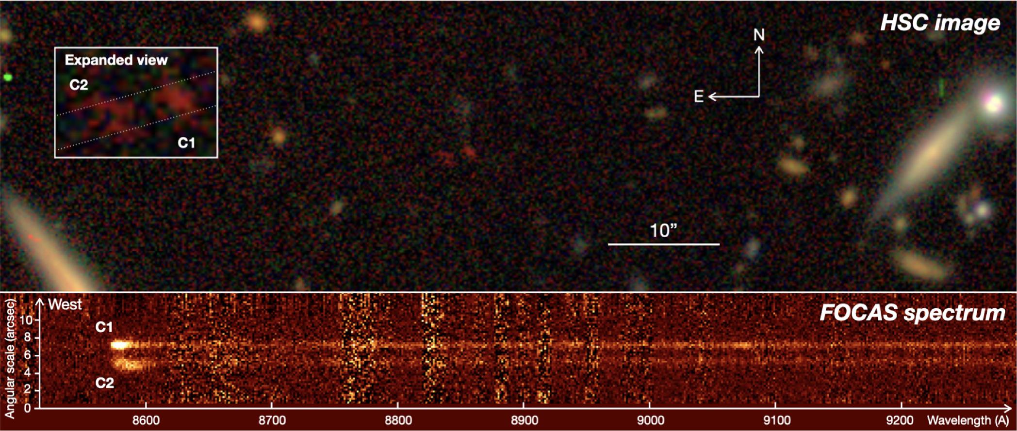 Imagens da câmera HSC e do espectômetro FOCA.