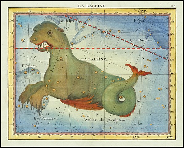 Ceto pode ter sido uma interpretação feita à época das baleias. (Fonte: Wikimedia Commons / Reprodução)