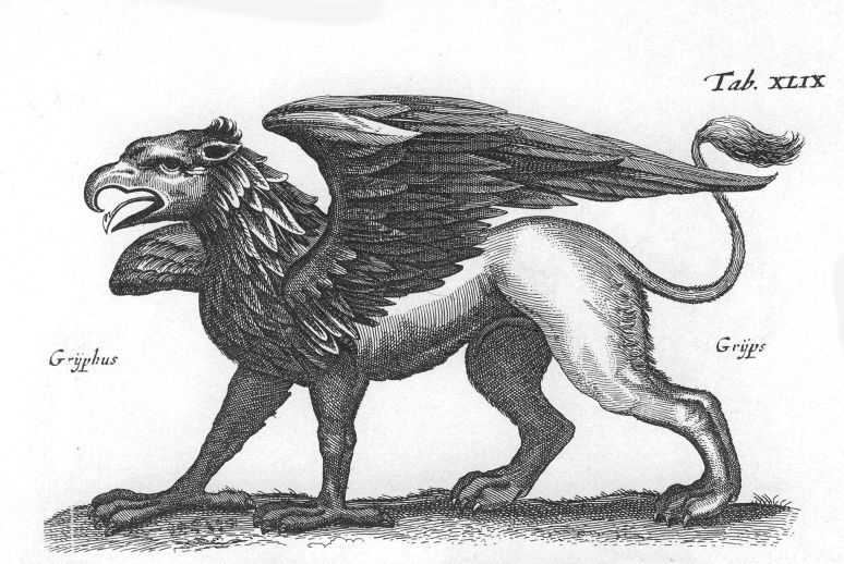Grifos eram mistura inusitada entre uma águia e um leão, muito comuns em manuscritos medievais. (Fonte: Wikimedia Commons / Reprodução)