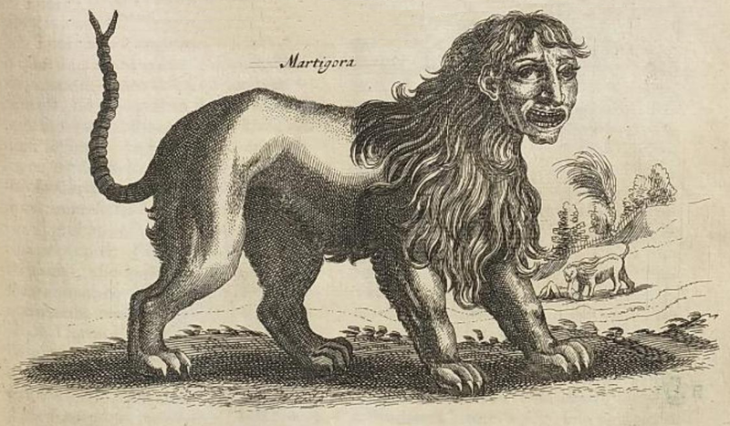A manticora é outra das bestas medievais cujas ilustrações mesclavam uma cabeça humana a características animalescas. (Fonte: Wikimedia Commons / Reprodução)
