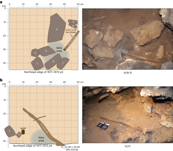 Graveto encontrado em lareira na caverna de Cloggs. (Fonte: Bruno David et al./ Divulgação)