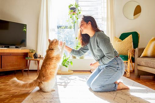 Apesar da fama de independentes, os gatos sentem falta dos humanos. (Fonte: Getty Images/Reprodução)