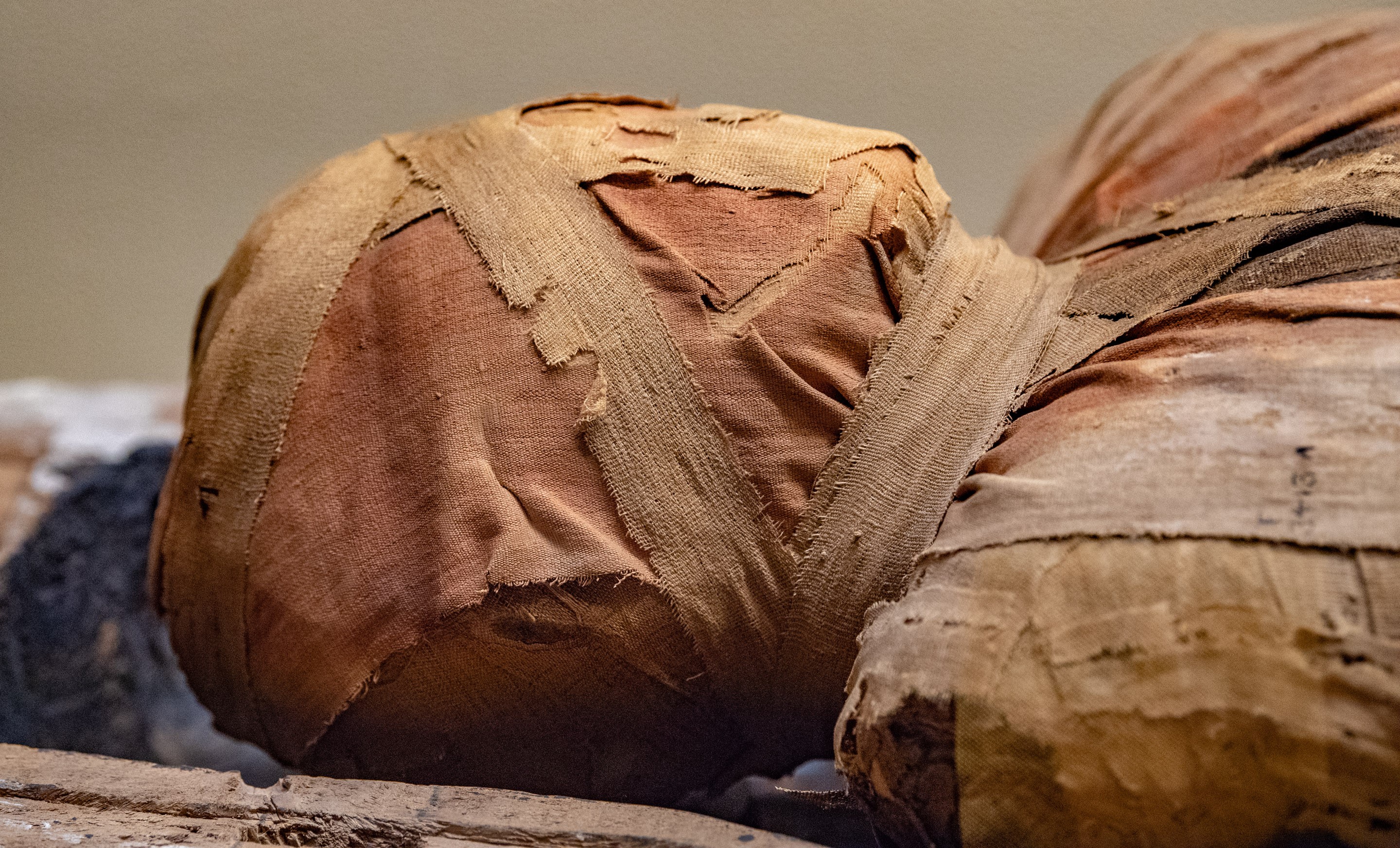 Múmias egípcias: bactérias e vírus ancestrais são ameaça ao mundo moderno?