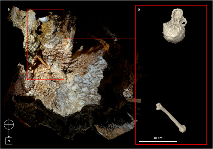 Após retirar algumas partes da imagem, a fotogrametria revelou posição do crânio e do úmero direito. (Fonte: Costantino Buzi et al./ Divulgação)