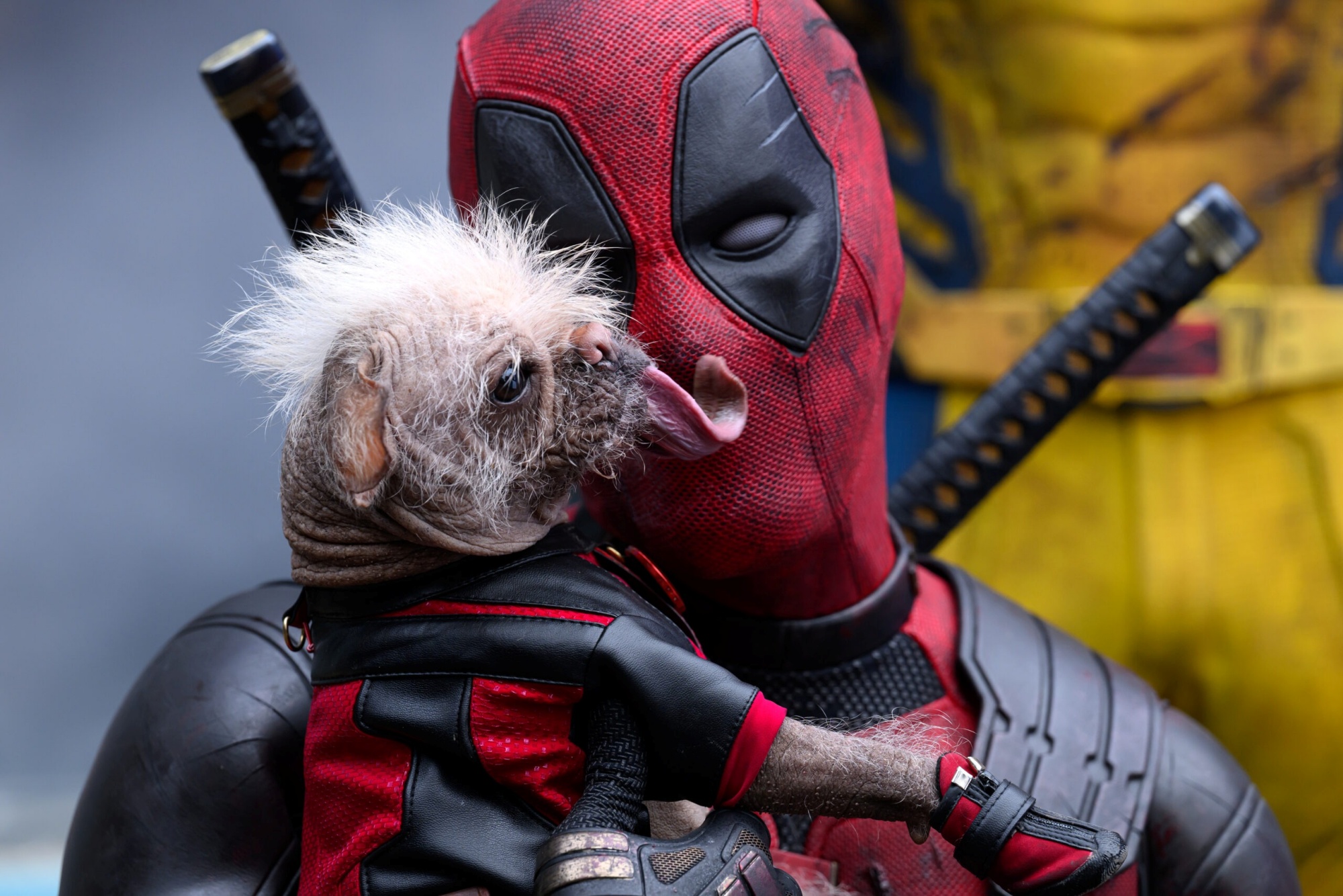 17 filmes (e 1 série) para ver e entender as piadas de Deadpool & Wolverine