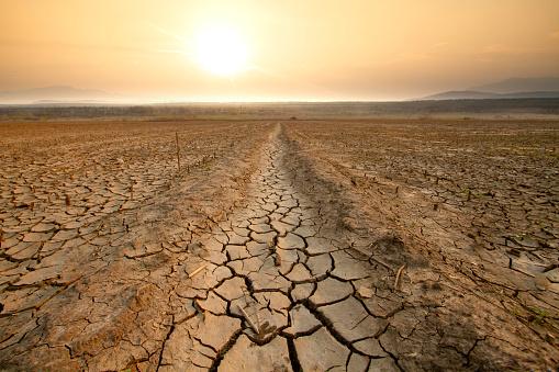 A capacidade de adaptação foi importante para sobreviver às mudanças climáticas. (Fonte: GettyImage/ Reprodução)