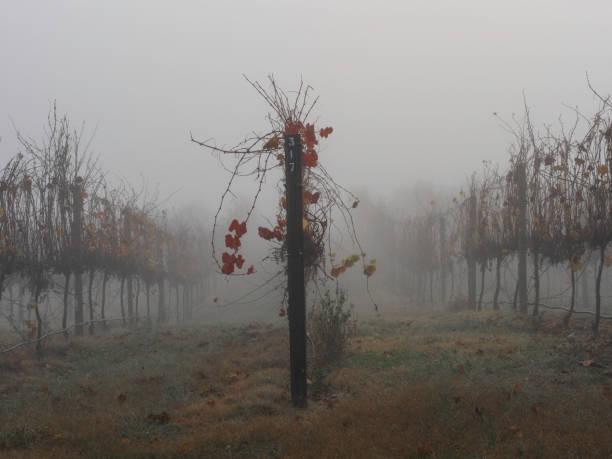 A mudan&ccedil;a dr&aacute;stica no clima pode trazer grandes problemas num futuro pr&oacute;ximo. (Fonte: GettyImages/ Reprodu&ccedil;&atilde;o)